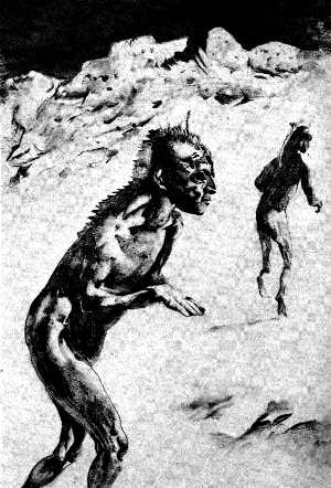 Le Dirdir © T.Csernus